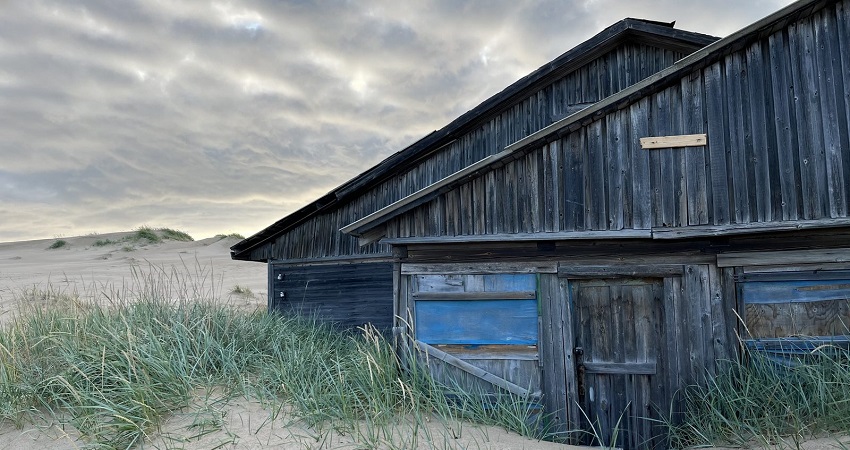 Превью Космос засыпает 2026